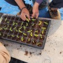 태동농장 이미지