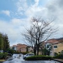 스프링데일 리조트 인근 이미지