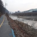 양지천2 이미지