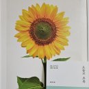 초록글씨