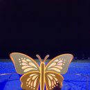2022년 11월 27일(음:11월 4일. 일출 7시 24분.일몰17시 15분]부산 해운대구 빛축제 이미지