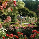 찻잔 속으로 떠나는 세계여행 이미지