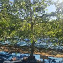 해오름농장-1 이미지