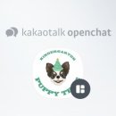 퍼피트리 애견유치원&호텔 이미지