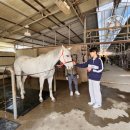 충무승마장 이미지