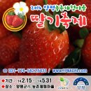 태훈농장 | [E]질울고래실마을에 가보셨나요?-딸기체험&amp;농촌체험 후기[양평 딸기축제, 강정만들기 체험]