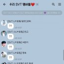 위플레디