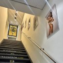 팀현gym 이미지