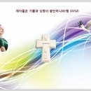 찬송가 / 335장 크고 놀라운 평화가 이미지