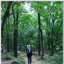 갈맷길(6코스) 이미지