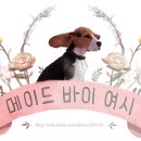 예삐빵집