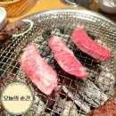 소고기 맛집 한라축산정육식당 대구신월성점 솔직후기 부모님 모시고 다녀온 월성동 맛집