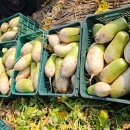 농업회사법인(주)태기산아침의새소리