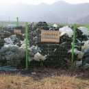 송현리경로당 이미지