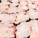 참조은유통 이미지