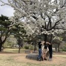 생활애