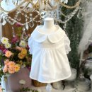 펫 디자인(강아지 옷 만들기) 이미지