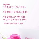 빛과소금 이미지