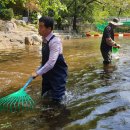 서울시원의원 이미지