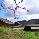 건봉사가는길 이미지