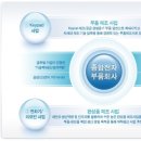 DK유아이엘