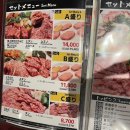 수원-0035 | 일본 도쿄 여행 아사쿠사 야키니쿠 대표 혼토사야 리얼 내돈내산 찐정보