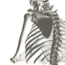 중앙 차병원 이미지