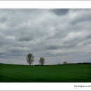 하늘구름목장 이미지