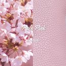 선글라스 케이스 꾸미기_가방 꾸미기 다이어리 꾸미기 다음은 케이스 꾸미기