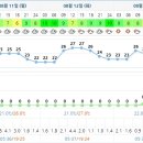 쌍솔식당 이미지