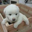 순덕농장 이미지