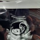 SC제일산부인과의원 이미지