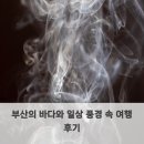 바다속 | 부산의 바다와 일상 풍경 속 여행 후기