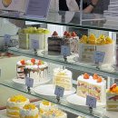 실버문케이크 | 잠실 송리단길 과일케이크 맛집 펫어케이크 내돈내산 후기