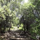 (주)상도000 이미지