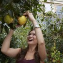 정원단지 화장실 이미지