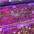 다인축산 이미지