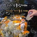 경춘북로358번길 | 구리 수풀림 아쿠아카페 아이랑 가볼만한곳