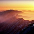 계룡산 Daum카페