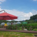 과일나라테마공원1 이미지