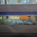 신대 | 순천 대하구이 대부수산 신대점 내돈내산 후기