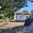 표선리-1 이미지