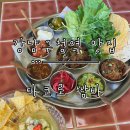 쌈반 | [강남구청역 맛집] 맛있는 타코가 있는 강남구청 브런치 먹기 좋은 ‘타코로쌈바’ 방문 후기.