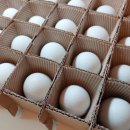 강원도 청계 농장 이미지