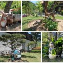 고미재펜션 이미지