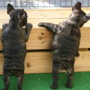 ZANYCAMP(재니캠프) 이미지