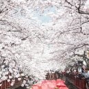 빨간우산 이미지