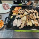 우도흑돼지 이미지