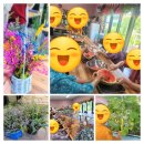 성암농장 이미지