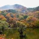 의림지-01 이미지